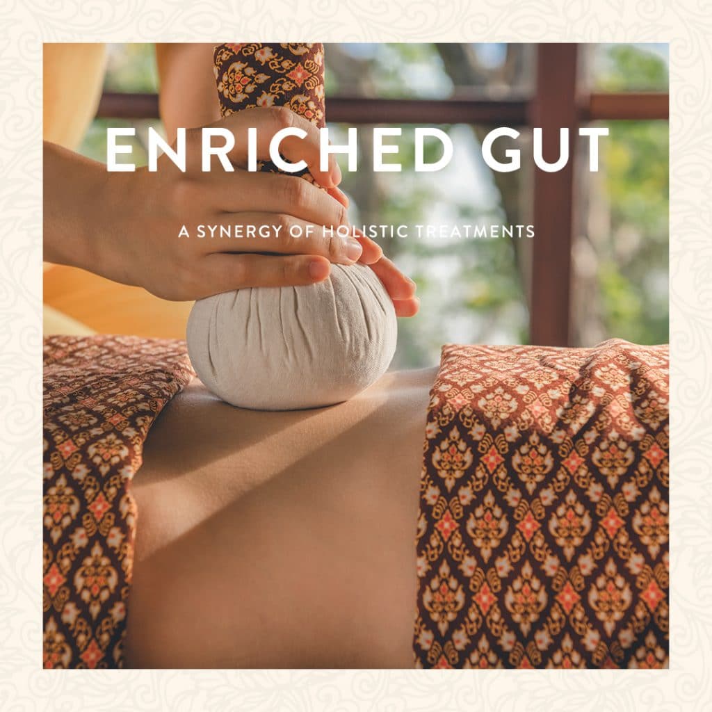 Enriched Gut Wellness Program