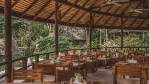 Organic Detox Food at Wellness Sanctuary Thailand