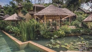 Restaurant with Healthy Vegan Food Thailand