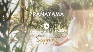 Pranayama Meditation retreat in Koh Samui Thailand